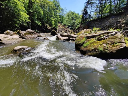 Irrel Waterfalls, Southern Eifel nature park Park, Eifel, Irrel, Rhineland-Palatinate, Germany