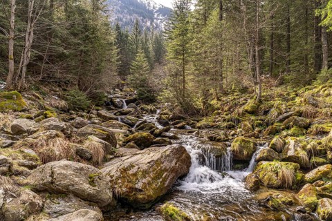 The Balea River in the Balea Valley, Fagaras Mountains, Southern Carpathians, Transylvania, Romania