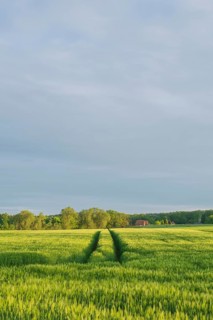 Bad Rehburg, Nienburg Weser, Lower Saxony