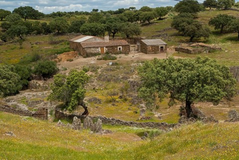 Countries, Dehesa, Extremadura, cultural landscape, landscape, countries, travel, Spain, travels