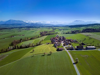 View of the hamlet of Alikon, with the Alps with the Rigi and Pilatus in the back, Sins, Freiamt,