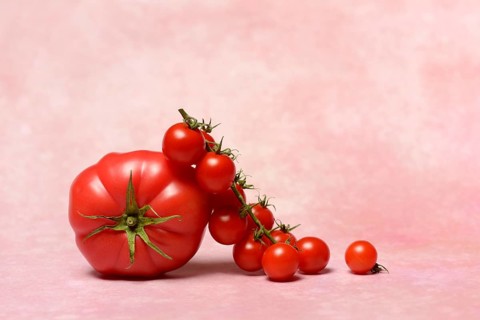 Beef tomato and cherry vine tomatoes with pink background