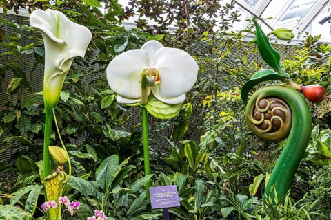 Botanical sculptures by Makoto Azuma, Hybrid series, in the Cloud Forest Botanical garden, Gardens