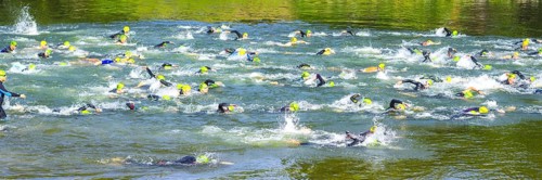 Swimmer, Triathlon, Danube, Ulm, Swabia, Baden-Württemberg, Germany