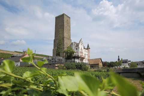 Boosenburg built 12th century, Rüdesheim, Upper Middle Rhine Valley, Taunus, Rheingau, Hesse,