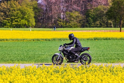 Country road near Erkenbrechtsweiler on the Swabian Alb with motorbike. Erkenbrechtsweiler,