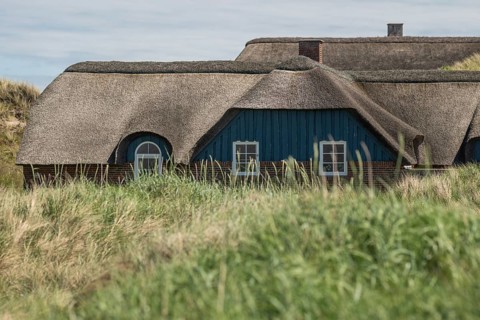 Traditional houses with thatched roofs behind a dune covered with beach oats, Houvig, North Sea,