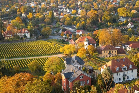The Hoflößnitz winery surrounded by the Oberlößnitz vineyards, Radebeul, Saxony, Germany