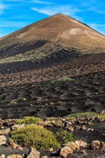 La Geria wine-growing region and work of art, UNESCO World Heritage Site, Lanzarote, Canary