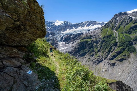 Hiker, elderly man on hiking trail, mountain landscape with Grindelwald-Fiescherfirn glacier,