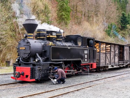 Man waiting for the steam locomotive of the Mocani?a water valley railway, Viseu de Sus, Maramure?,