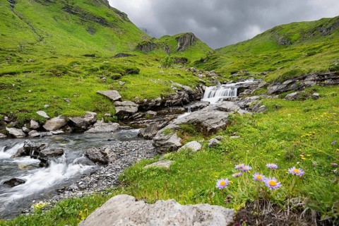 Bergbach Sousbach flows through picturesque green mountain landscape with flower meadow, long