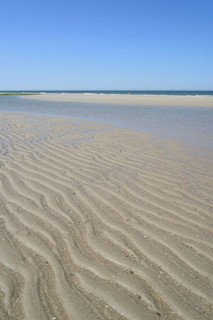 Beach at low tide with wave-like structure, current ripples in wet sand, blue sky, North Sea,