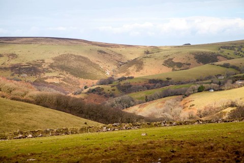Interlocking spurs tributary valley of the East Lyn river, Brendon, Exmoor national park, Devon,