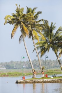 Indian men and palm trees on the shore of Lake Vembanad, canal system of the backwaters, Kerala,