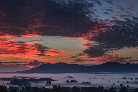 Dawn, cloudy mood, fog, mountains, Loisach-Lake Kochel moor, behind Zwiesel, Alpine foothills,
