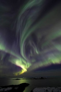 Northern Lights (Aurora borealis) in green and pink over the North Sea, Andøya, Vesterålen, Norway