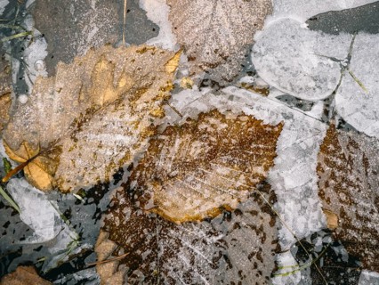 Lines and structures frozen on a small ice rink and leaves, Sauerland, North Rhine-Westphalia,