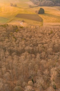 Warm autumn landscape with forest and fields seen from the air, forest pasture compensation project