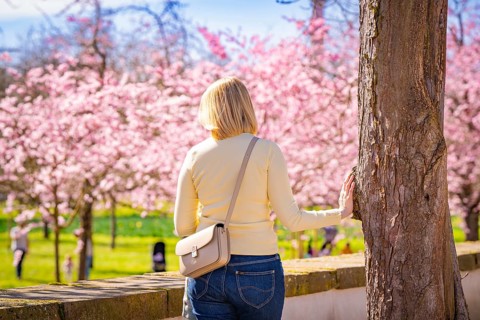 Woman leaning thoughtfully against a tree trunk, cherry blossoms in the background, cherry blossom