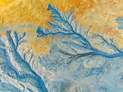 An intricate display of abstract fractal patterns with vibrant blue and yellow hues creating a