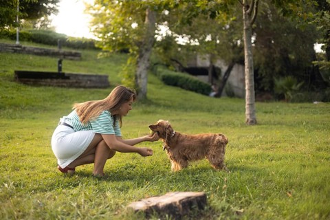 Woman interacting with a dog in a sunlit park, capturing a moment of connection