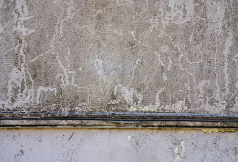 Detail of a parked rotten trailer, abandoned caravan, Germany