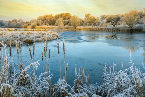 Winter hoarfrost at Ahlhorn fish ponds, Ahlhorn fish ponds, Ahlhorn, Lower Saxony, Germany