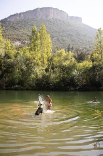 A woman playing with her dog in the sparkling waters of a serene lake during a sunny summer day.