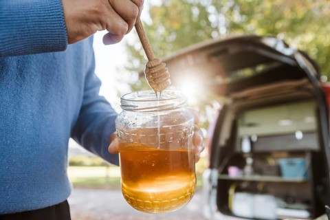 A woman enjoys a delightful breakfast with honey outside her van amidst the vibrant autumn