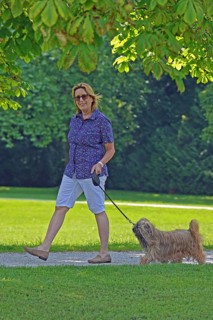 Woman takes Lhasa Apso for a walk in the park