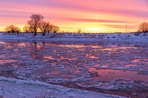 Cold winter morning on the Elbe with floating ice floes, snow and dawn at sunrise, Kötzschenbroda,