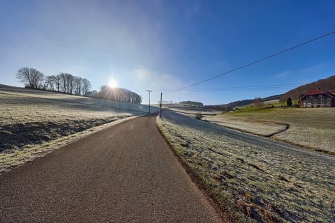 Hilly landscape with meadow, forest and trees, blue sky, backlight of the sun, Breitebene road,