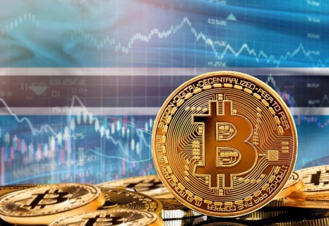 Investors in cryptocurrency and Blockchain Technology in Botswana, Concept. Bitcoin with Botswanan