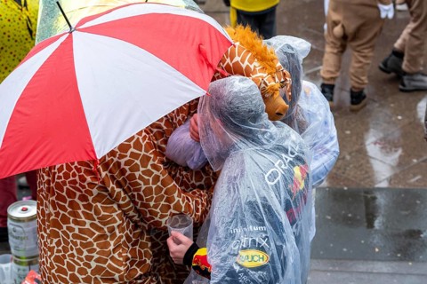 Rose Monday procession in Düsseldorf, parade costume, giraffes with umbrella North