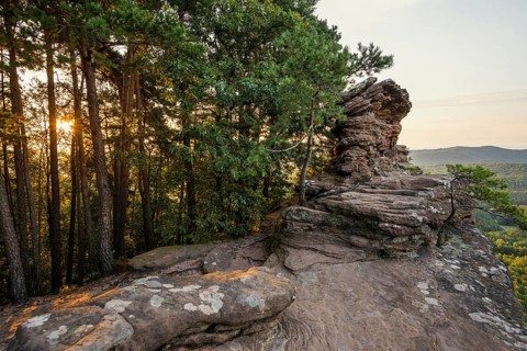 Sandstone rocks, Rötzenfelsen, sunrise, Gossersweiler-Stein, Palatinate Forest, Palatinate Forest,