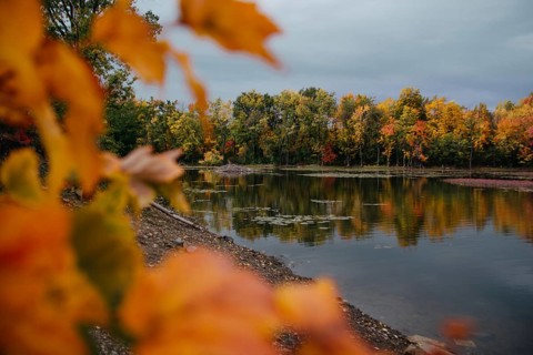Vibrant autumn leaves frame a tranquil lake scene in Quebec, Canada. The rich colors of fall, with