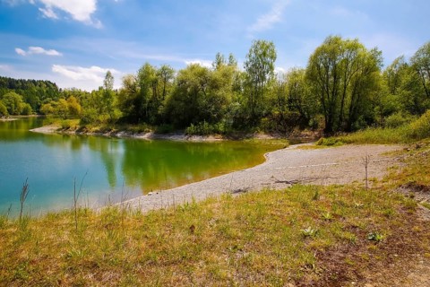 Body of water, lake, trees, shore, biotope, species protection, aquatic ecology, habitat,