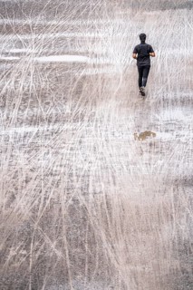 Dirt road, with many tracks of two-wheelers, footprints, joggers, wet, after rain, parallel, mixed