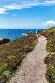 Hikers on coastline, heather blossom on the Atlantic coast, coastal hiking trail, South West Coast