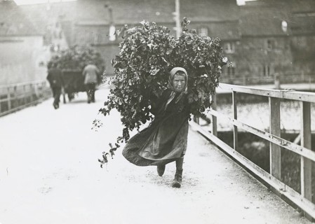 Bayern hops harvesting, child labor, burden-carrying, poverty, Franconia, child in the village