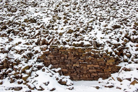 Peat in winter, moor, Goldenstedt, Lower Saxony, Germany