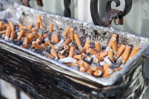 Flower box as an ashtray outside at a bar, smoking bans, North Rhine-Westphalia, Germany, Europe,