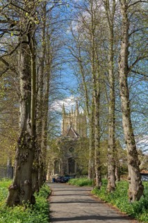 St Edmundsbury Cathedral, Trees, Avenue, Bury St Edmunds, West Suffolk, England, United Kingdom