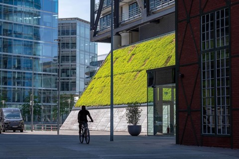Green wall, façade of a building on Franziusstraße in the media harbor in Düsseldorf, North