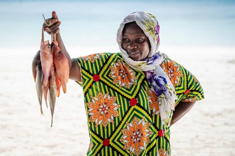 MICHAMVI, ZANZIBAR - OCTOBER 15, 2025: A local African woman in a colorful traditional dress