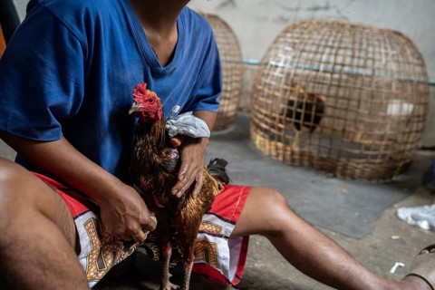 Bangkok, Thailand. February 25th 2025. A local Thai youth from the Khlong Toei neighborhood in