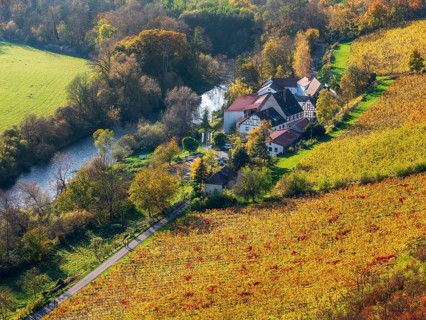 View of the state winery Kloster Pforta on the Saale with vineyard in autumn, Naumburg,