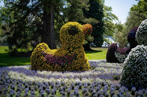 Duck in the lake, flower sculpture, Mainau Island, district of Constance, Baden-Württemberg,