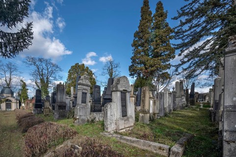 Old graves at the Israeli cemetery, inaugurated in 1882, Werner-von Siemens Str. 2, Würzburg, Lower